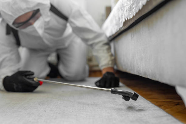Professional Termite Control technician working in Perkins County County, SD